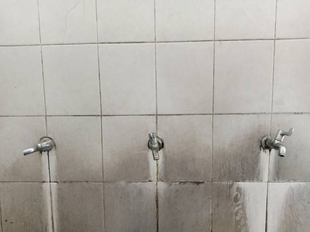 Best Ceiling water damage repair  in Pink, OK