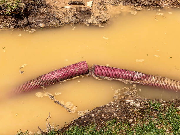 Best Commercial water damage restoration  in Pink, OK